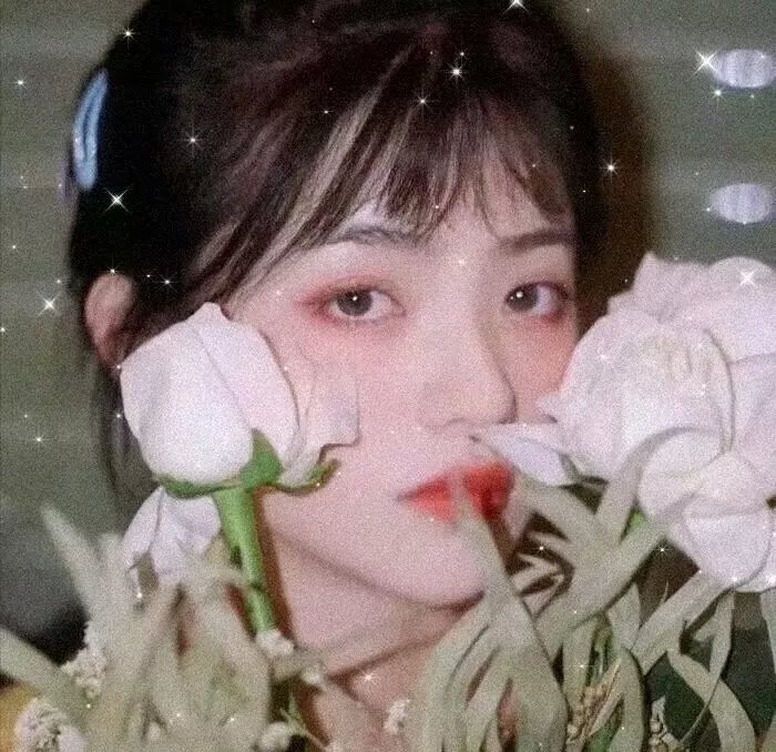 女人世上